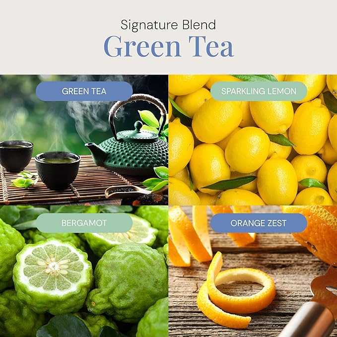 Green Tea Aroma Oil, Essential Oils Blend for Diffusers & Scent Machines, Citrus, Delicate Florals, Warm Tea, Aromatherapy, Cold Air Diffuser Compatible, 300 mL