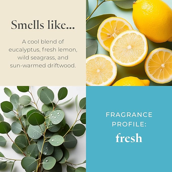 PartyLite Sea Grass Eucalyptus Scented, Notes of Eucalyptus, Lemon, Seagrass & Driftwood, 13.2oz 3-Wick Jar Candle, 45 Hour Burn Time, Luxurious Fragrance, Ideal for Gifting