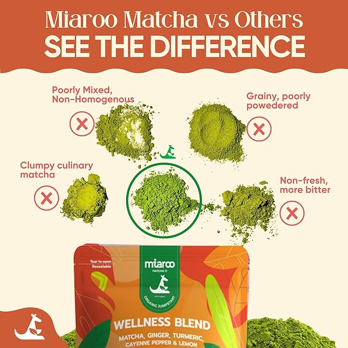 Spicy Ginger Shot with Matcha & Turmeric | Superfood Blend for Gut Health, Immune Support, Detox, Natural Energy & Metabolism | 50g, 25 Servings, 20mg Caffeine, Zero Calories | Miaroo Matcha