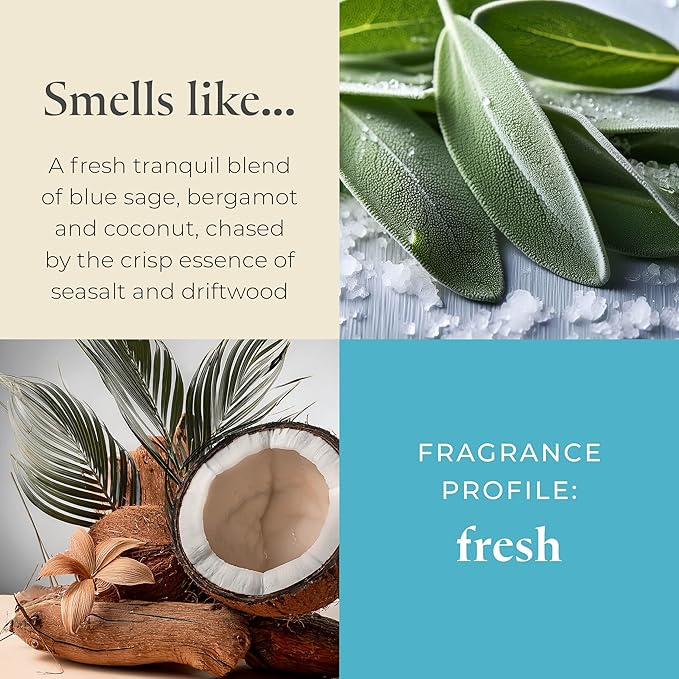 PartyLite Sea Salt & Sage Scented, Notes of Salted Air, Sea-Soaked Sage, Driftwood, Coconut and Sandalwood, 13.2oz 3-Wick Jar Candle, 45 Hour Burn Time, Luxurious Fragrance, Perfect for Gifting