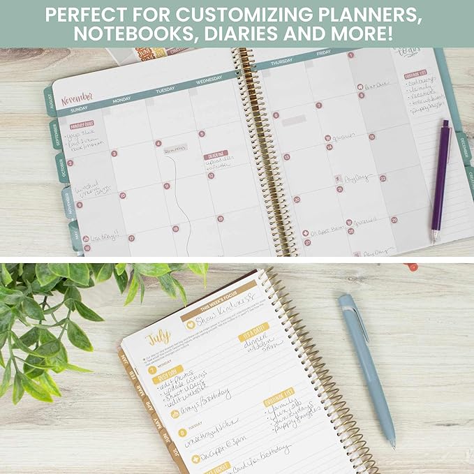 bloom daily planners Calendar Essentials Planner Stickers - 8 Sheets, 1629 Stickers Per Pack! - Color Coordinating Monthly Headings, Dates, Icons, Etc. - Retro Rainbow