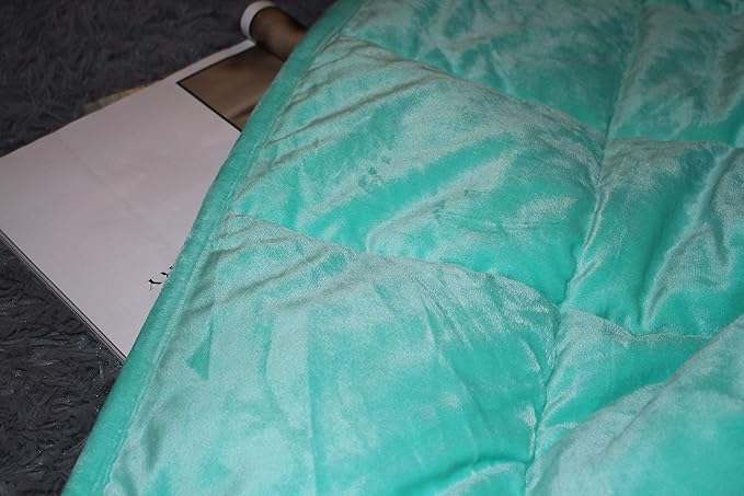ALANSMA Reversible Weighted Blanket for All Season, Luxury Velvet, Warm and Cool, Adult 10Lb Green Weighted Blanket, Enjoy Sleeping Anywhere(Light Green,48"x72" 10lbs)