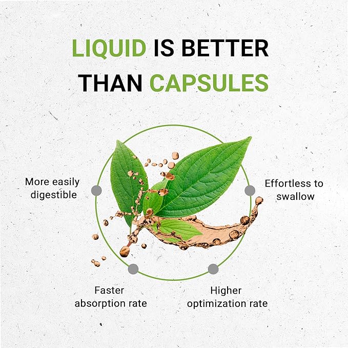 Secrets of the Tribe Yerba Mate USDA Organic Tincture | Alcohol-Free Extract, High-Potency Herbal Drops | Made from 100% Certified Organic Yerba Mate (Ilex paraguariensis) Dried Leaf (4 fl oz)