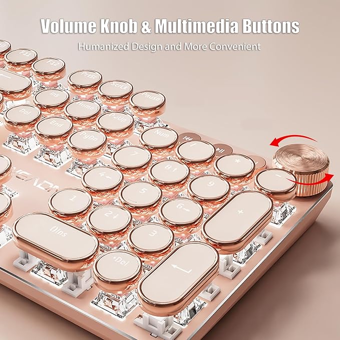 Typewriter Style Mechanical Gaming Keyboard White LED Backlit 104-Key NKRO Pink Switches Retro Round Keycaps Golden Ring Volume Knob Metal Panel Wired USB-C Detachable Cable, Rose Gold