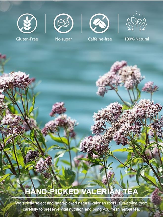 TeeLux Valerian Root Tea Bags, Smooth & Mild Taste, Caffeine Free, Natural Ingredients, 100 Count