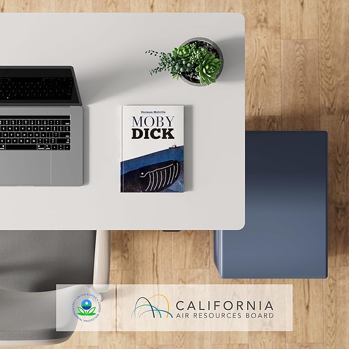 FLEXISPOT EN1 One-Piece Standing Desk, 48 x 24 Inches Electric Height Adjustable Desk for Home Office (White Frame + White Desktop)