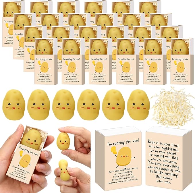 Wettarn 24 Sets Potato Support Gifts Cute Stress Balls with Gift Boxes Inspirational Party Favors for Employee Coworker Friends Office Positive Relief Toys