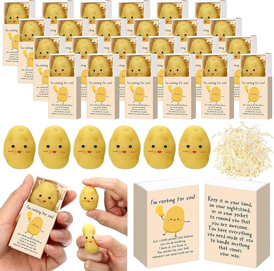 Wettarn 24 Sets Potato Support Gifts Cute Stress Balls with Gift Boxes Inspirational Party Favors for Employee Coworker Friends Office Positive Relief Toys