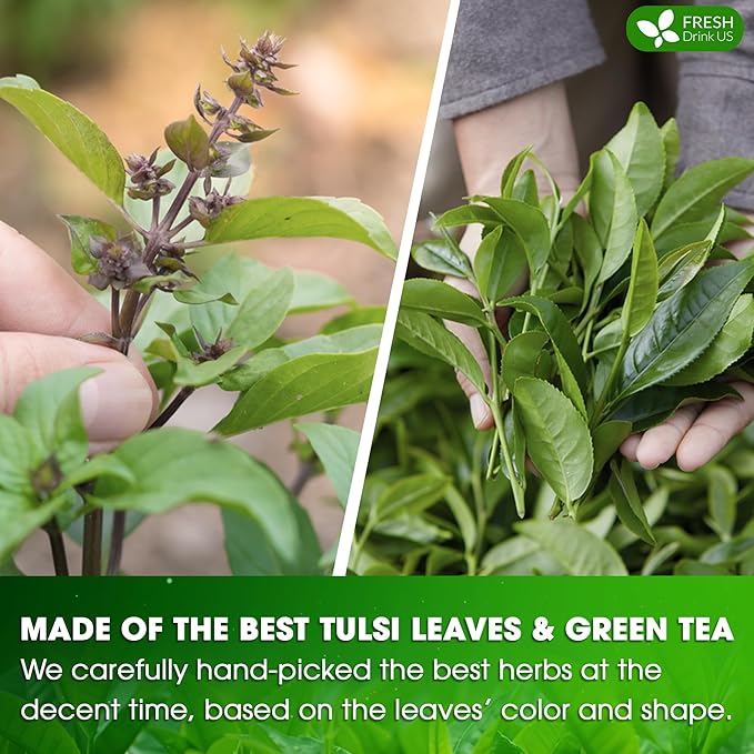 FreshDrinkUS, Premium 135 Tulsi Green Tea Bags, 100% Natural, Blend of Tulsi Holy Basil Leaves, and Green Tea Leaves. Made with Natural Material Tea Bags. No Sugar, Vegan.