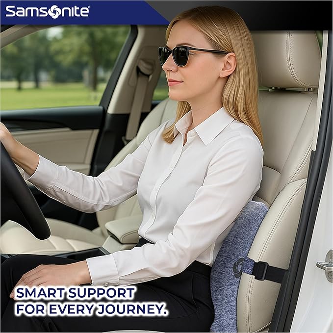 Samsonite Ergonomic Lumbar Support Pillow for Office Chair and Car Seat - Memory Foam Back Support Lumbar Pillow Premium Cushion Chair Support for Lower Back Pain Relief and Versatile Use (Gray-Blue)