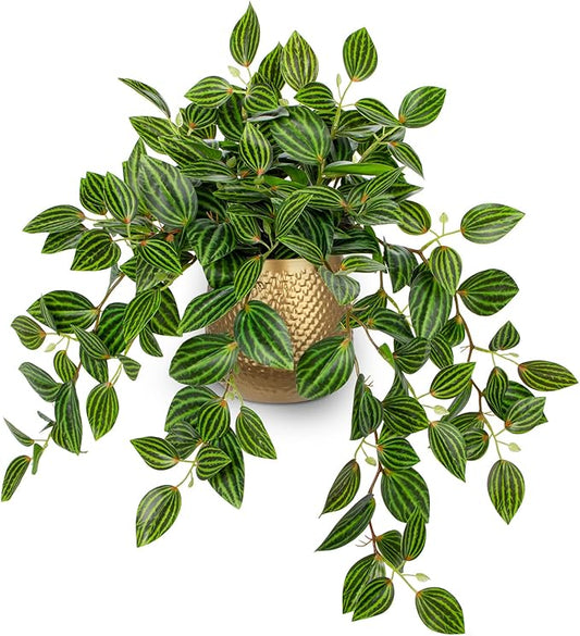 Briful Faux Plants Indoor 17.7in Fake Watermelon Peperomia Plant in Gold Pot with Realistic Silk Green Leaves Artificial Potted Plant for Home Office Table Shelf Desk Modern Room Decor