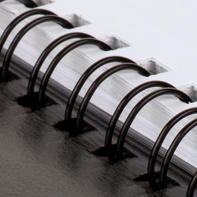 AT-A-GLANCE 2026 Appointment Book Planner, Weekly & Monthly, 8.25" x 11", Large, Half-Hourly, Contemporary, Black (70950X0526)