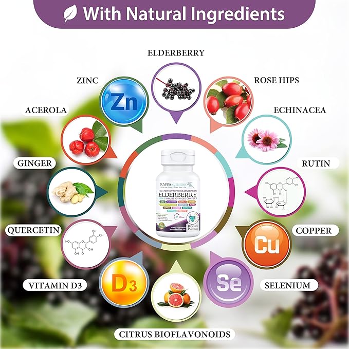 KAPPA NUTRITION Elderberry / 12 in 1 Advanced Complex (90 Capsules).