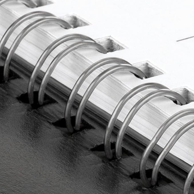 AT-A-GLANCE 2026 Appointment Book Planner, Weekly, 8" x 11", Large, Quarter-Hourly, DayMinder, Black (G5200026)