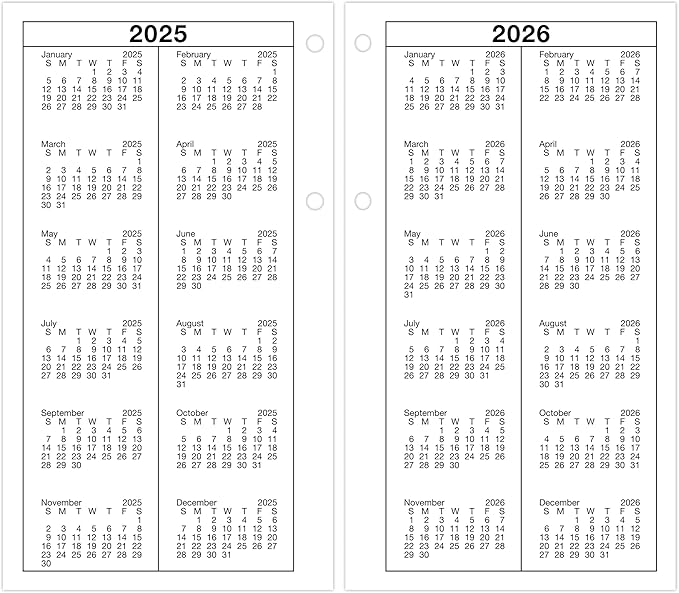 AT-A-GLANCE 2026 Desk Calendar Refill, Daily, 4-1/2" x 8", Large, Loose-Leaf (E2105026)
