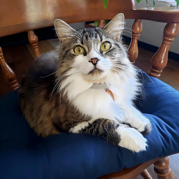 Barnett Home Decor Cotton Duck Navy Blue Dining Chair Pad with Ties - 15 x 17 Size Small Chair Cushion - Latex Foam Fill - Machine Washable, Reversible, Solid Color, 100% Cotton, Made in USA