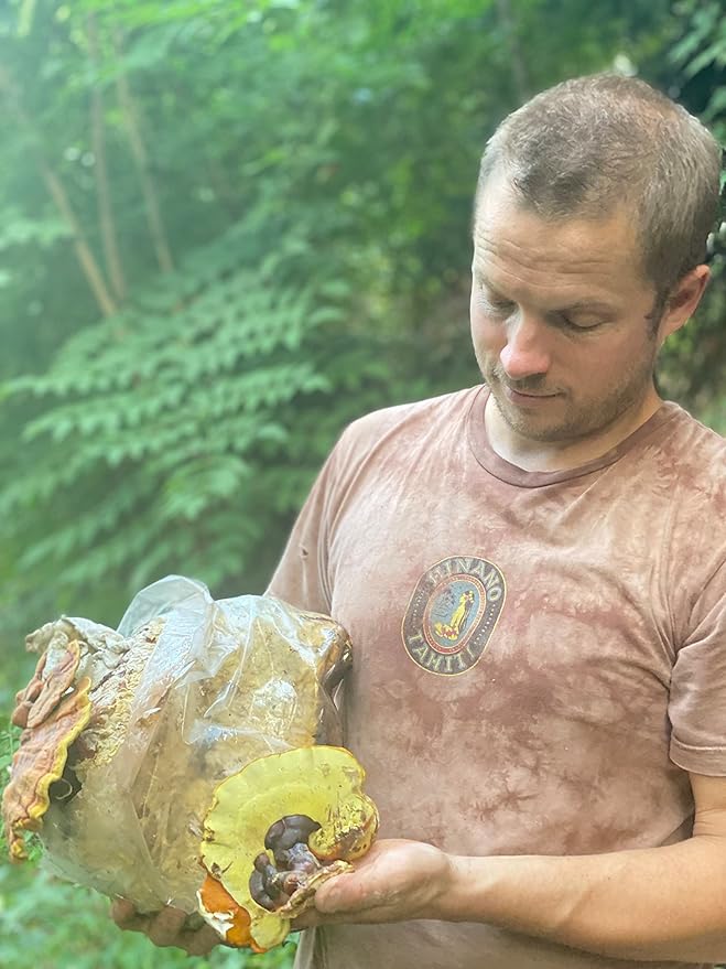 Hodgins Harvest Organic Reishi Mushroom Fruiting Body Extract Tincture - Extra Concentrated Dual Extract Supplement - Supports Heart Health & Wellness - USDA Organic Mushrooms - 2 oz