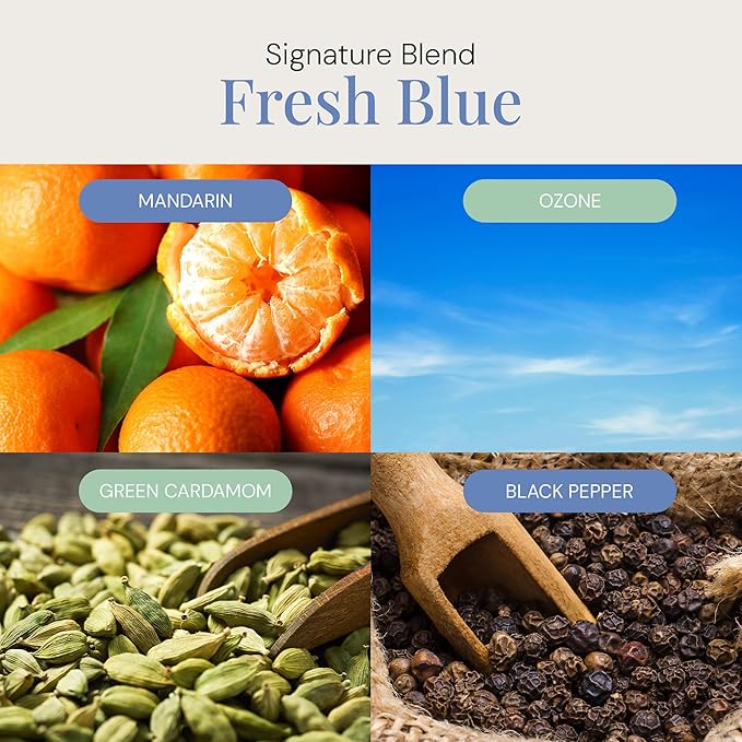 Fresh Blue Aroma Oil, Essential Oils Blend for Diffusers & Scent Machines, Mandarin, Ozone, and Cardamom Blend, Aromatherapy, Cold Air Diffuser Compatible, 300 mL