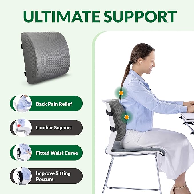 Lumbar Support Pillow for Office Chair and Car,Back Support for Office Chair,Charcoal Memory Foam Back Cushion with Breathable Mesh Cover,Double Adjustable Straps,Grey