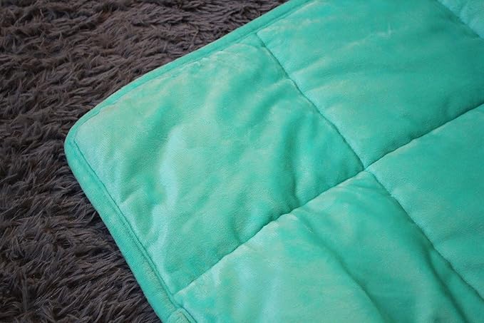ALANSMA Reversible Weighted Blanket for All Season, Luxury Velvet, Warm and Cool, Adult 10Lb Green Weighted Blanket, Enjoy Sleeping Anywhere(Light Green,48"x72" 10lbs)