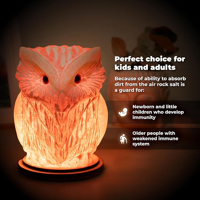 Owl Crystal Salt Lamp H 6.7”, 4.4 lbs - Pure Natural Rock Salt – Unique Night Light Lamp - 1 Light Bulb as a Gift - Wooden Present Box - Holiday Gift Ideas - Cool Room Décor