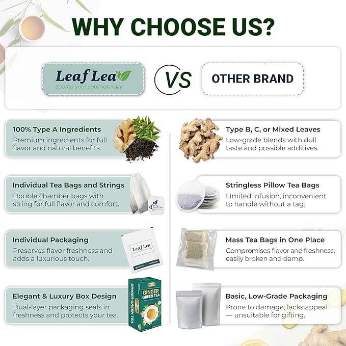 LeafLea Green Tea with Ginger, 80 Tea Bags (2 Packs), Natural Green Tea with Ginger Root, Lightly Sweetened with Stevia, Supports Digestion and Immunity, Low Caffeine, Non-GMO, Gluten-Free