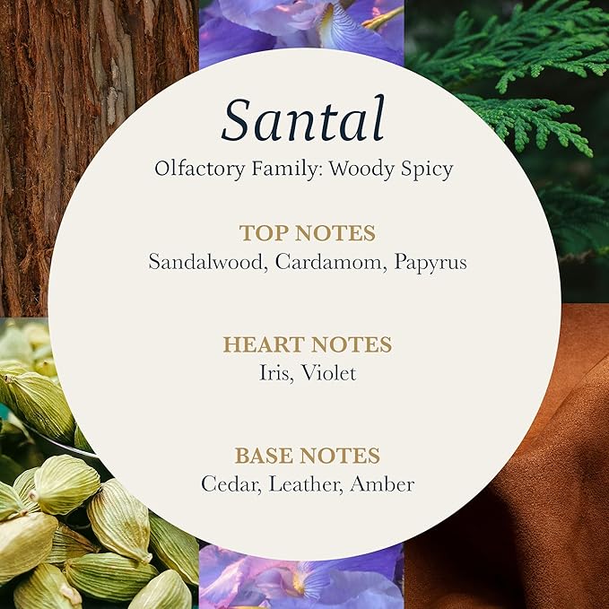 PuroSentido Santal Aroma Oil (10 ml) - Luxury Essential & Fragrance Oil for Diffusers and Humidifiers, Sandalwood, Violet & Amber Home & Hotel Scent