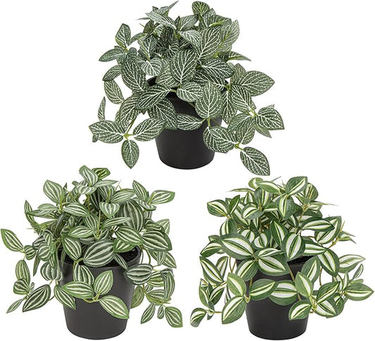 Hollyone Fake Plants 3 Packs Artificial Plants Indoor Faux Plants with Black Plastic Pot Small Fake Potted Plant for Home Aesthetic Living Room Bathroom Desk Shelf Office Decor