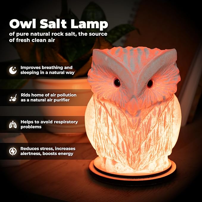 Owl Crystal Salt Lamp H 6.7”, 4.4 lbs - Pure Natural Rock Salt – Unique Night Light Lamp - 1 Light Bulb as a Gift - Wooden Present Box - Holiday Gift Ideas - Cool Room Décor