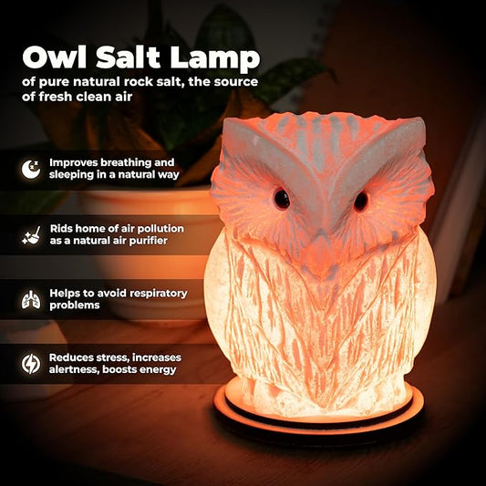Owl Crystal Salt Lamp H 6.7”, 4.4 lbs - Pure Natural Rock Salt – Unique Night Light Lamp - 1 Light Bulb as a Gift - Wooden Present Box - Holiday Gift Ideas - Cool Room Décor