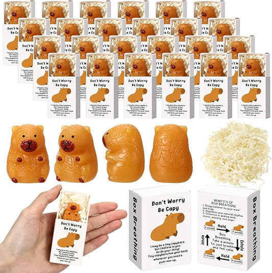 Wettarn 24 Sets Capybara Gifts Positive Stress Balls with Support Gift Boxes Inspirational Party Favors for Employee Coworker Friends Office Stress Relief Toys