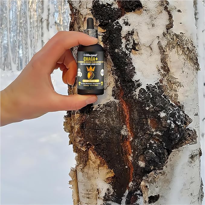 Life Cykel - Chaga Mushroom Extract with Kakadu Plum - Double Extracted Mushroom Tincture - Non-GMO Immune Support Supplement for Adults and Kids - 4 Fl Oz
