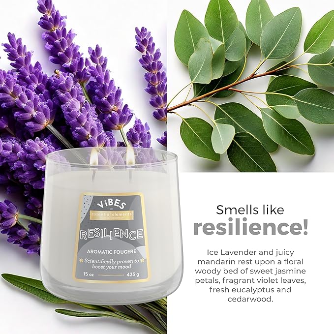 Candle-Lite Vibes Aromatic Fougere Mood-Enhancing Scented Candles, 15 oz Jar, Aromatherapy, Proudly Poured in The USA, 2-Wick, 86 Hours Burn Time, Perfect Relaxation Gift