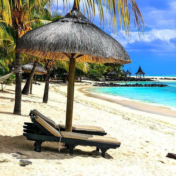 Miami Vibe Essential Oils for Diffusers for Home, Nature-derived Essential Oils, Long-Lasting & Family-Friendly Diffuser Oils Scents, IFRA Certified, Cold Air & Ultrasonic - 4 oz