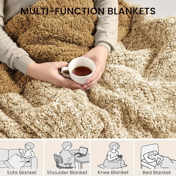 Electric Heated Blanket Twin 62x84 inches, Fast Heating w/ 10 Heat Settings & 2/4/8/10H Auto Timer, Double-Sided Sherpa, Ultra Soft & Cozy for Couch, Bed, Office, Machine Washable, ETL Certified