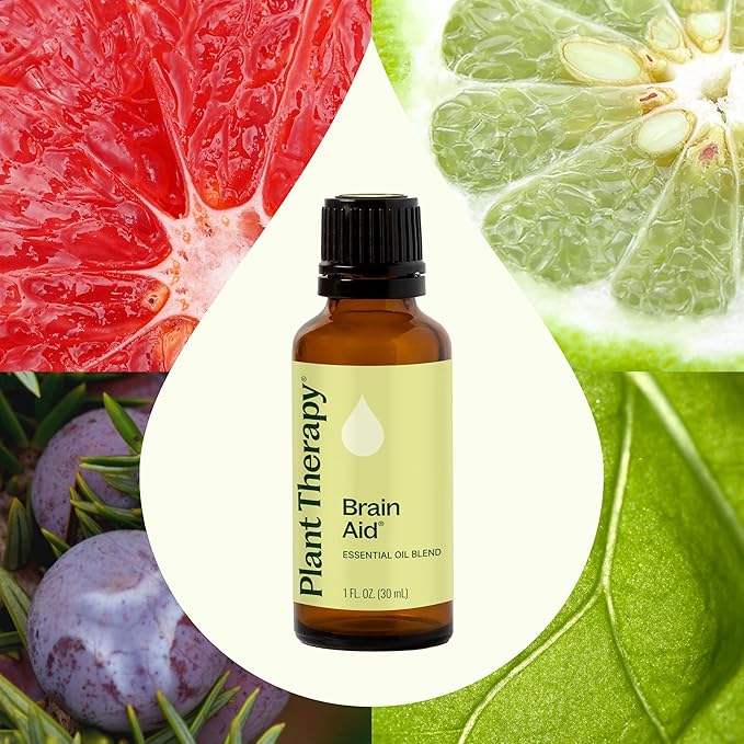 Plant Therapy Brain Aid Essential Oil Blend for Focus & Attention 100% Pure, Undiluted, Natural Aromatherapy, Therapeutic Grade 30 mL (1 oz)
