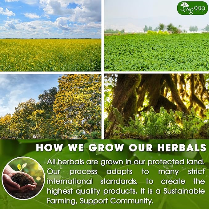 TOG999 60 Tea Bags Relieves Constipation Natural Tea, Blend of Senna Leaves - Peppermint - Licorice - Fennel, 100% Natural Ingrendients, Hand-made Herbal Tea, No Sugar, No Caffeine, No Gluten, Vegan.