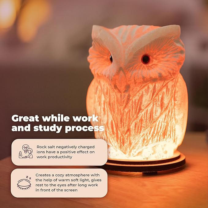 Owl Crystal Salt Lamp H 6.7”, 4.4 lbs - Pure Natural Rock Salt – Unique Night Light Lamp - 1 Light Bulb as a Gift - Wooden Present Box - Holiday Gift Ideas - Cool Room Décor