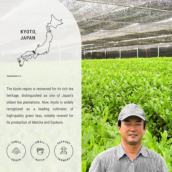 Senbird Premium Gyokuro, Japanese Shade Grown Green Tea - From Kyoto Japan - Imperial Loose Leaf Green Tea In Airtight Tea Tin (1.76oz/50g) (Mikado)