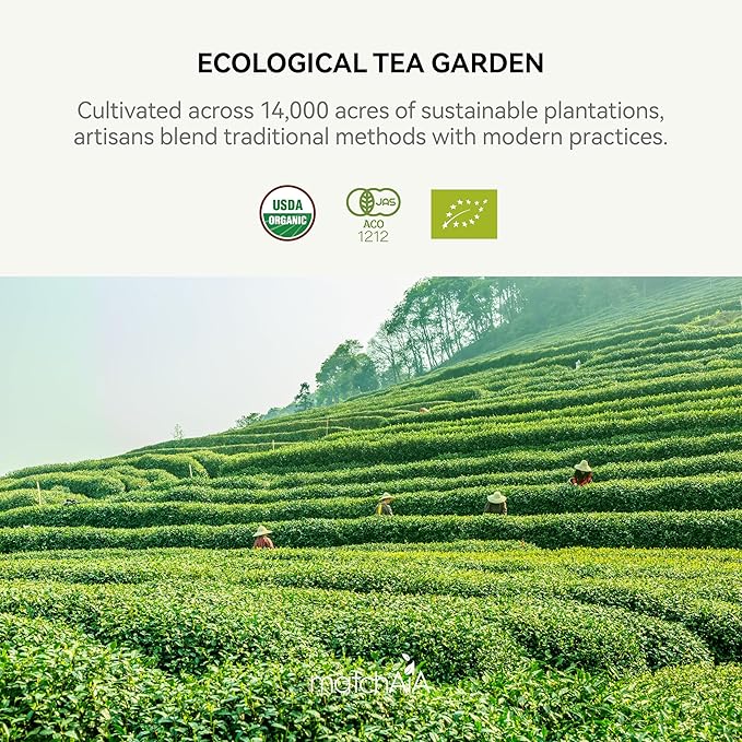 MatchAiA Organic Matcha Green Tea Powder - Premium Culinary Grade, USDA Certified, 100% Pure - Perfect for Lattes, Smoothies, Desserts and Baking - Sugar Free, Gluten Free (350g / 12.3oz Tin)