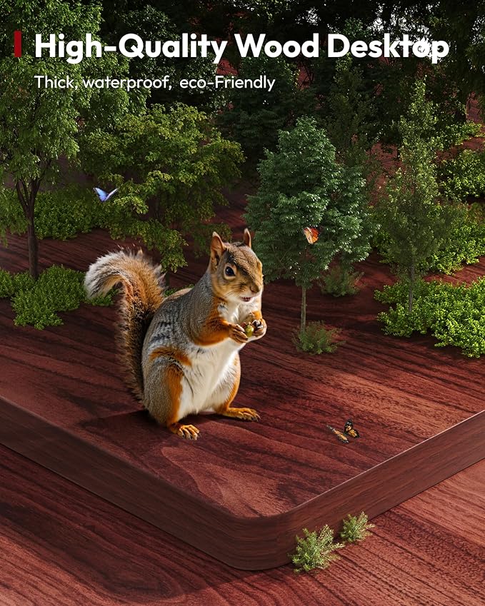 SANODESK Electric Standing Desk 48 x 30 Inches Whole-Piece Desktop Height Adjustable Stand Up Desk w/6-Button Controller Ergonomic Computer Desk for Home Office, White Frame + Mahogany Tabletop