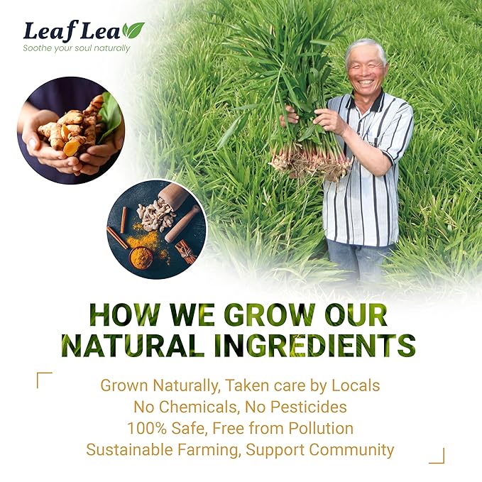 LeafLea Turmeric Ginger Cinnamon Tea, 120 Individually Wrapped Tea Bags, 100% Natural Herbal Blend with Pure Ginger and Turmeric, Supports Digestion & Immune Health, Caffeine-Free, No Sugar