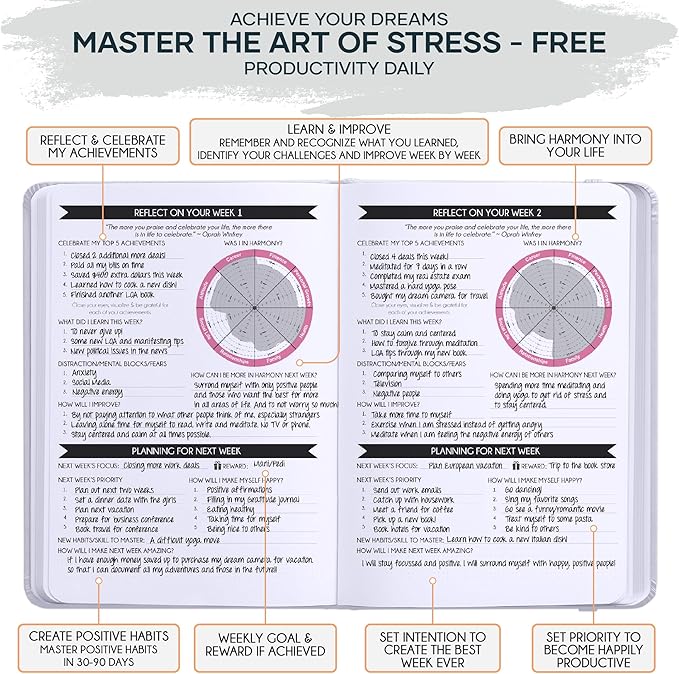 Adhd Daily Planner - A Self Care Personal Gratitude Journal to Increase Productivity and Success in Life & Work, Weekly & Monthly Undated Planner for Women and Men, Vision Board & Organizer + Stickers