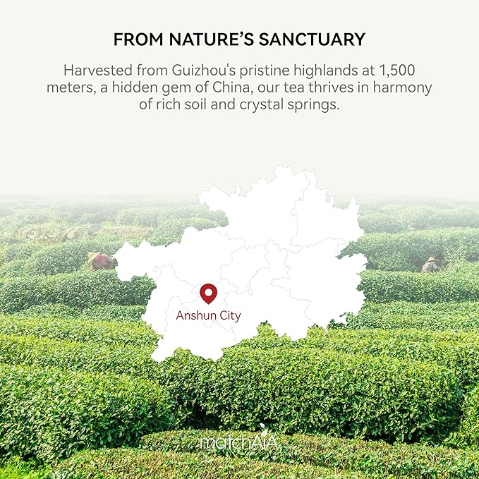 MatchAiA Premium Ceremonial Grade, USDA-Certified Organic Matcha, 100% Pure Green Tea Powder, First Spring Harvest, Sugar Free, Gluten Free (60g / 2.1oz Tin Can)