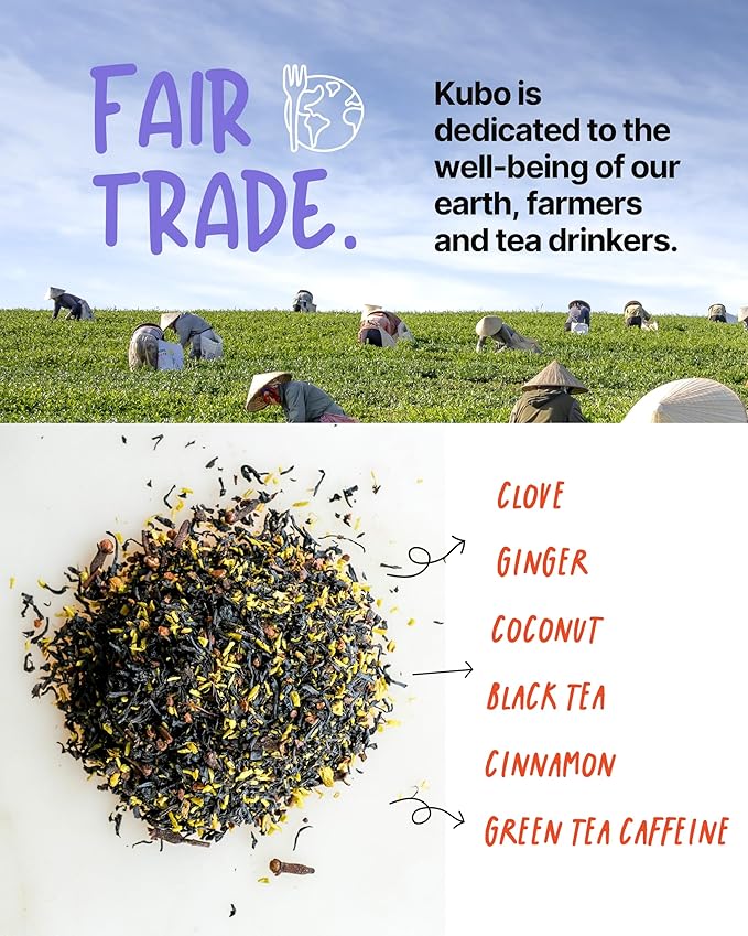 Kubo Tea, Coconut Chai Black Tea, Organic High Caffeine Blend, 20 Servings (155mg Caffeine each), Pyramid Tea Bags, Compostable & Biodegradable Packaging, Brew Hot or Iced, Healthy Coffee Substitute