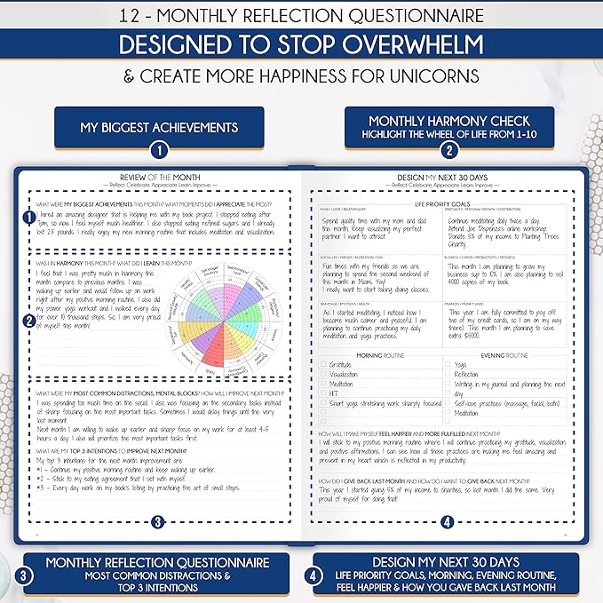 Hourly Planner - Undated Daily, Weekly & Monthly Planner with Budget Section | A 12 Month Journey to Increase Productivity & Happiness | Life Organizer & Gratitude Journal - Vertical Format