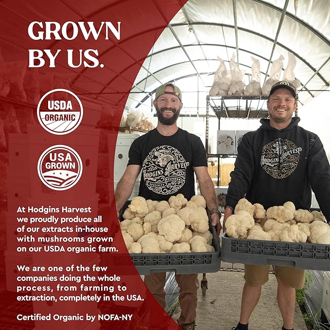 Hodgins Harvest Organic Reishi Mushroom Fruiting Body Extract Tincture - Extra Concentrated Dual Extract Supplement - Supports Heart Health & Wellness - USDA Organic Mushrooms - 4 oz