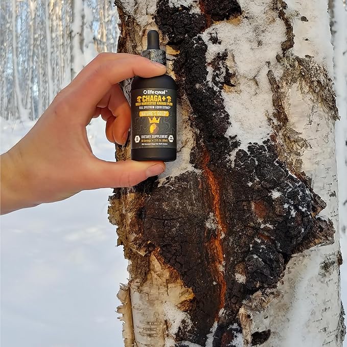 Life Cykel - Chaga Mushroom Extract with Kakadu Plum - Double Extracted Mushroom Tincture - Non-GMO Immune Support Supplement for Adults and Kids - 2 Fl Oz