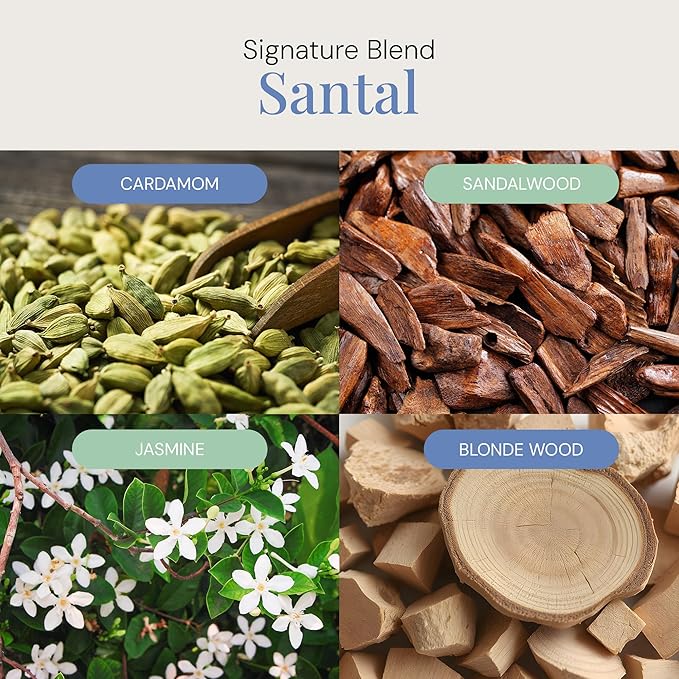 Santal Aroma Oil, Essential Oils Blend for Diffusers & Scent Machines, Sensual Sandalwood & Cardamom, Aromatherapy, Cold Air Diffuser Compatible, 300 mL