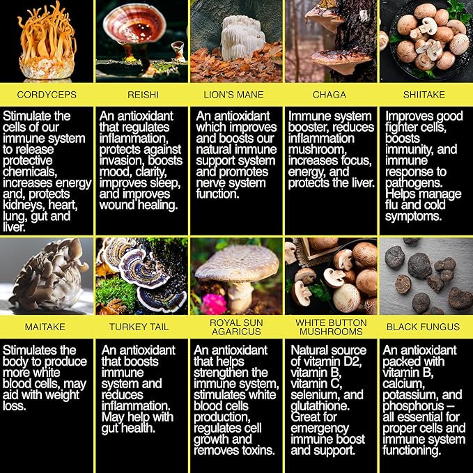 THE ENCLARE NUTRITION Mushroom Supplement - 10in1 Complex Immune Support, Energy, Nootropic Brain, Immunity Booster Lions Mane,Reishi,Turkey Tail,Cordyceps,Chaga,Maitake,Shiitake,Agaricus(3)